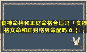 食神命格和正财命格合适吗「食神格女命和正财格男命配吗 🦋 」